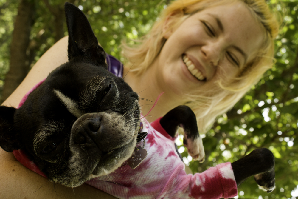 Kang's MMA Muay Thai Martial Arts